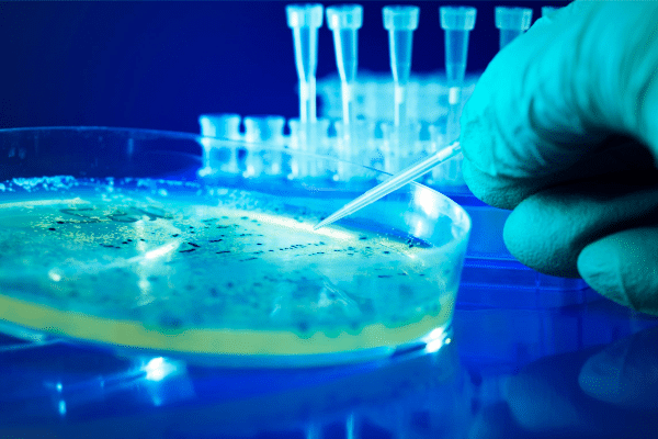 Control microbiológico