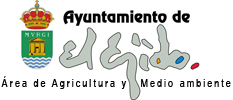 Ayuntamiento de El Ejido